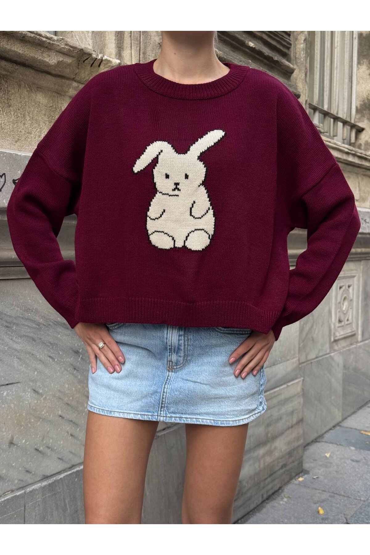 Tavşan Desenli Triko Kazak